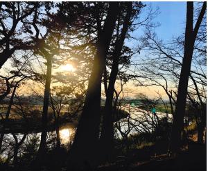 写真：小森　英理子さん作「悠久の時　流れる川」（多摩川台古墳郡からの眺望）