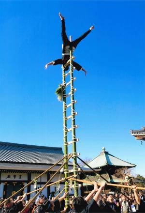 写真：村上　敦子さん作「青空に広がる」（池上本門寺　大堂前）