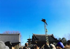 写真：柳谷　由美さん作「月より高く」（池上本門寺）