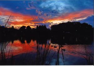 写真：石橋　正昭さん作「洗足池の夕焼け」（洗足池公園）