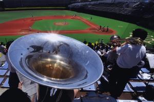 写真：大石　宏さん作「目指せ甲子園」（大田スタジアム）