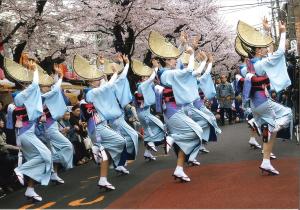 写真：副田　かほるさん作「桜の下足並み揃えて」（馬込）