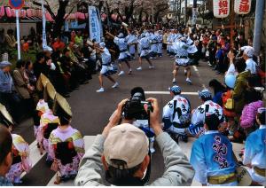 写真：横山　善朗さん作「来たぞ～！」（馬込桜並木）