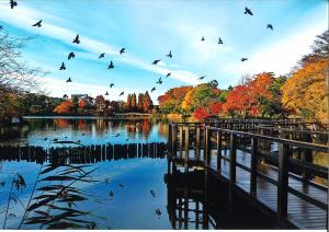 写真：石橋　正昭さん作「飛び立つ平和のシンボル」（洗足池）