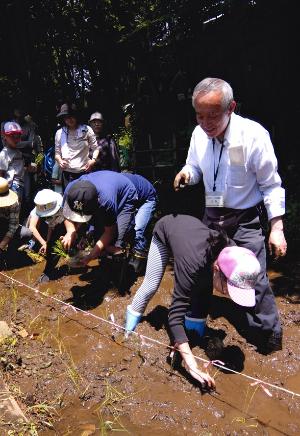 写真：中村　隼人さん作「田植え指導」（田園調布せせらぎ公園）