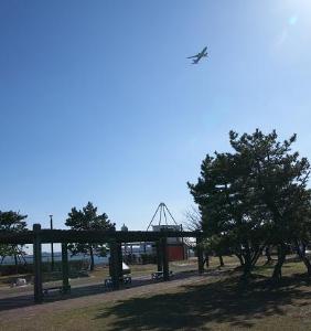 写真：城南島海浜公園