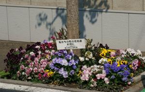 写真：花街道鵜の木地区