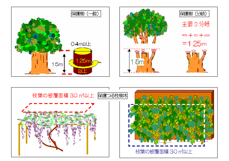 保護樹木