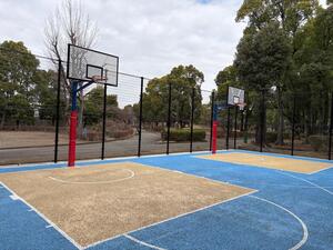 写真：平和島公園バスケットフィールド