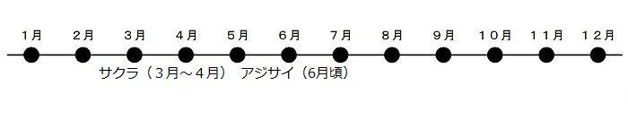 さくらが3がつから4がつ、アジサイが6がつから7がつにさきます。