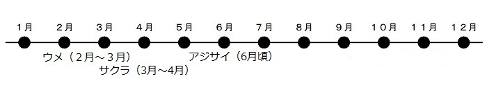 2から3月はウメ、4月にはサクラ、6月ごろアジサイの花が咲きます。