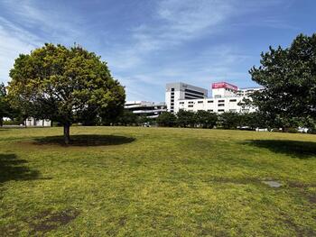 広場