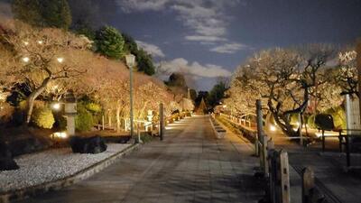 ライトアップ写真