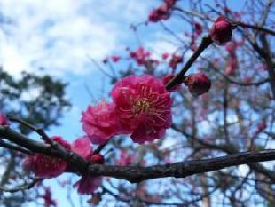 写真：公園の様子・その2