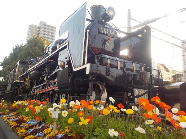 入新井西公園(大森)へのアクセス･遊具･駐車場情報･電車が見える公園