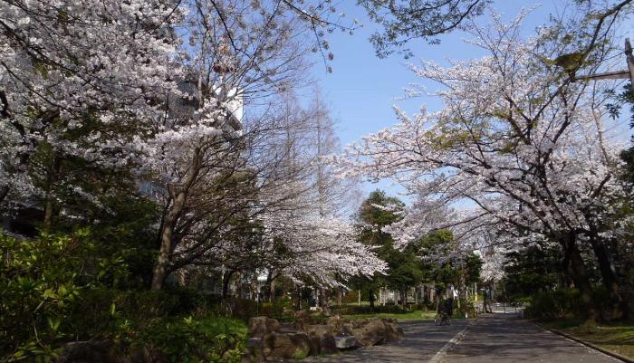 写真：公園の様子・その1