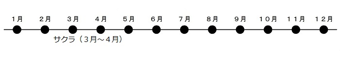 4月にはサクラの花が咲きます。