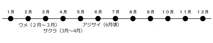 うめが2がつから3がつ、さくらが3がつから4がつ、あじさいが6がつごろにさきます。いちょうが10がつから11がつにこうようします。