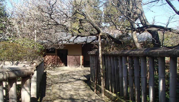 写真：公園の様子・その1