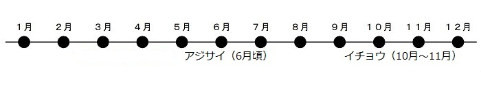 あじさいが6がつごろにさきます。いちょうが10がつから11がつにこうようします。