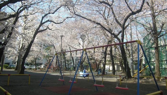 写真：公園の様子・その1