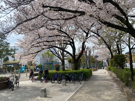 花2