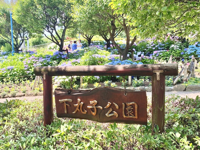 写真：公園の様子・その1