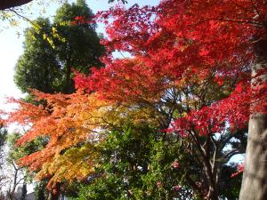 写真：公園の様子・その2