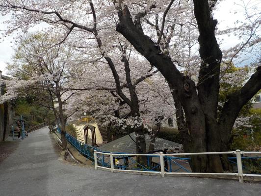 写真：公園の様子・その1