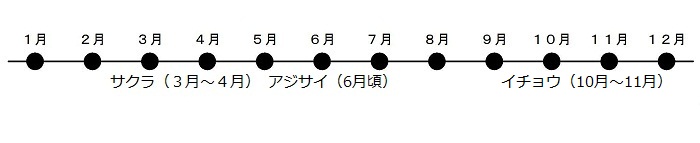 うめが2がつから3がつ、あじさいが6がつごろにさきます。いちょうが10がつから11がつにこうようします。