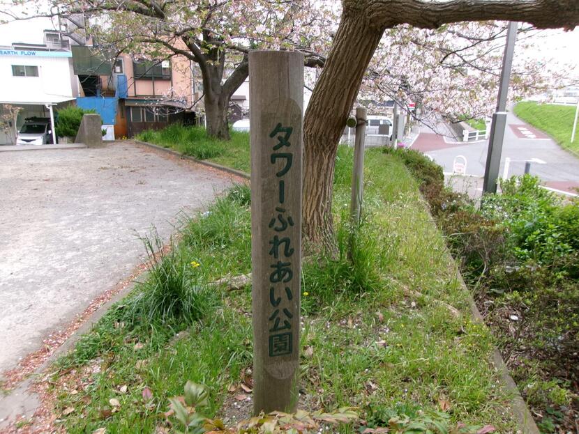 写真：公園の様子・その1