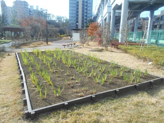 聖跡蒲田梅屋敷公園