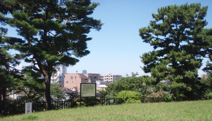 大田区ホームページ 鵜の木松山公園