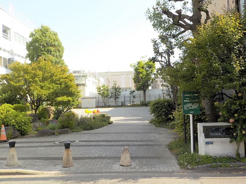 写真：公園の様子・その1