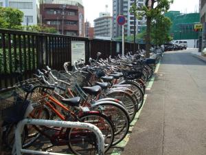 写真：自転車駐車場　全景1