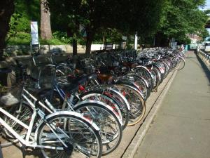 写真：自転車駐車場