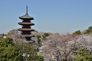 写真：池上本門寺五重の塔