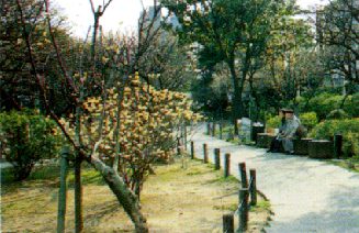 写真：梅屋敷公園