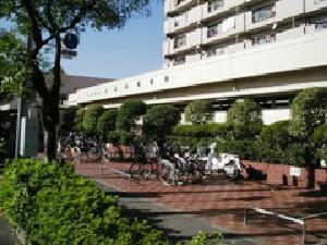 写真：大森東図書館